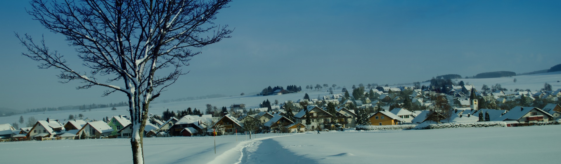 Hintergrundbild der Gemeinde Friedenweiler