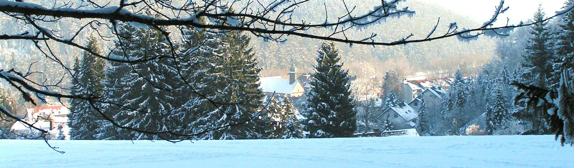 Hintergrundbild der Gemeinde Friedenweiler